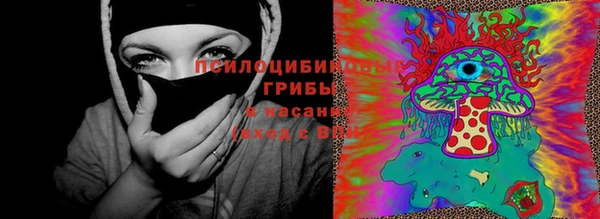 spice Кукмор