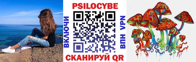 ссылка на мегу сайт  Томилино  Псилоцибиновые грибы прущие грибы  закладка 